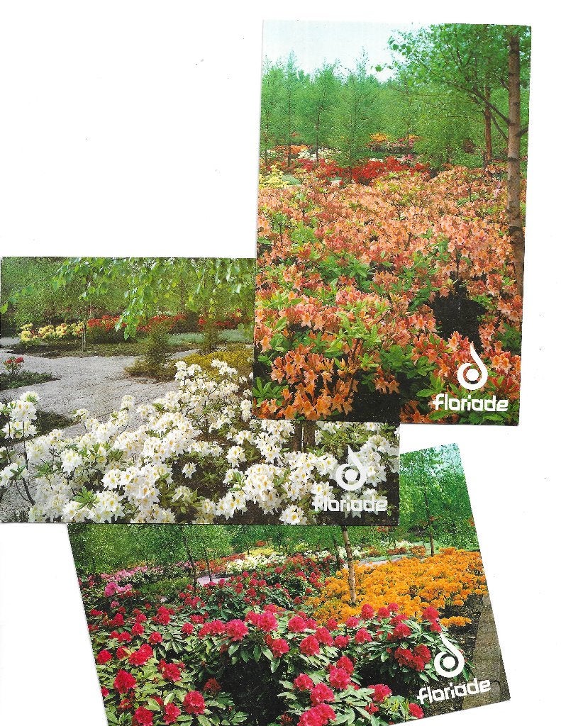 AK Amsterdam - 3 x Floriade 1972, Verzenden, 1960 tot 1980, Ongelopen, Noord-Holland