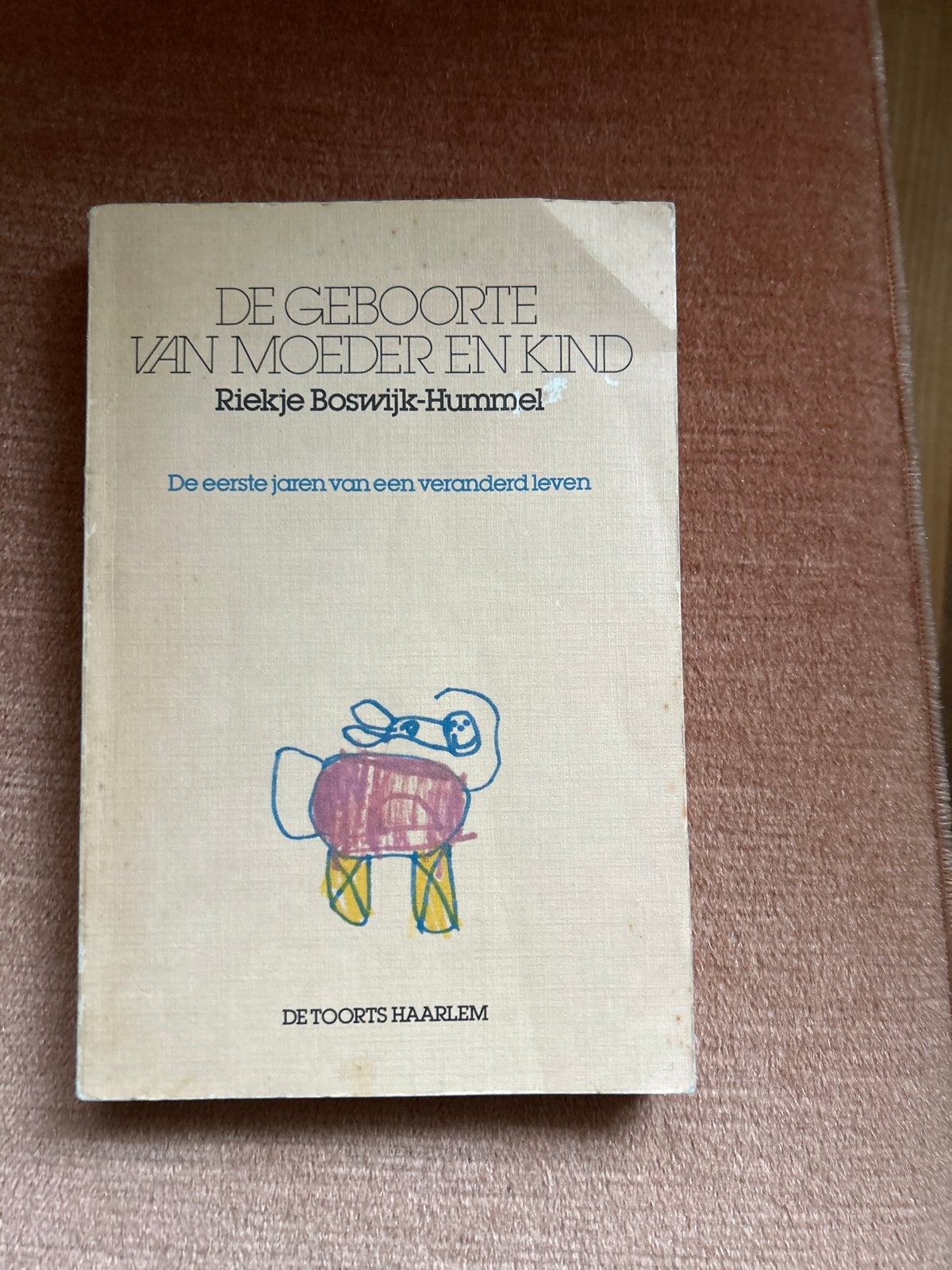 De Geboorte van Moeder en Kind - Riektje Boswijk-Hummel, Ophalen of Verzenden, Gelezen, Zwangerschap en Bevalling