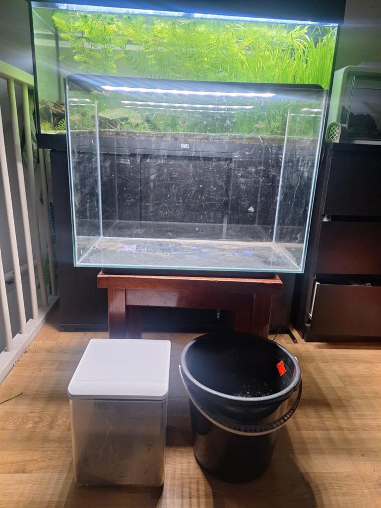 aquarium, Dieren en Toebehoren, Vissen | Aquaria en Toebehoren, Ophalen, Zo goed als nieuw, Leeg aquarium, Superfish