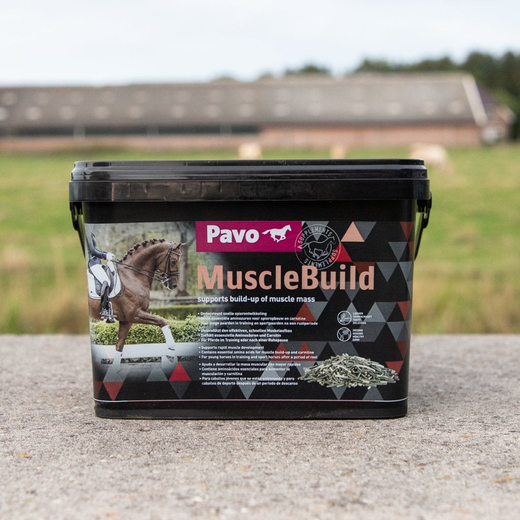 Pavo Musclebuild 3 kilo voor paard en pony, Pavo, Ophalen of Verzenden, Nieuw, Voedingssupplement