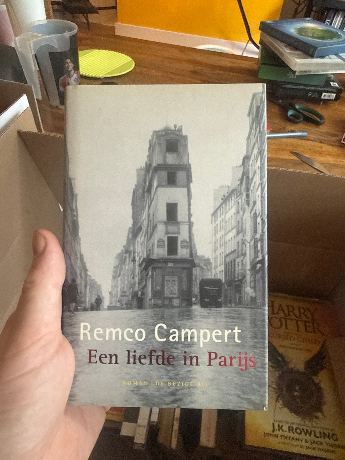 Remco Campert - Een liefde in Parijs (Roman), Ophalen of Verzenden, Gelezen, Nederland