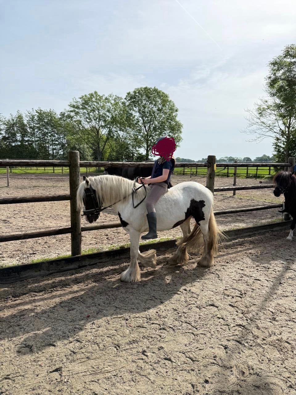 Super knappe, lieve mini tinker /kinderpony merrie, Merrie, B pony (1.17m tot 1.27m), Gechipt