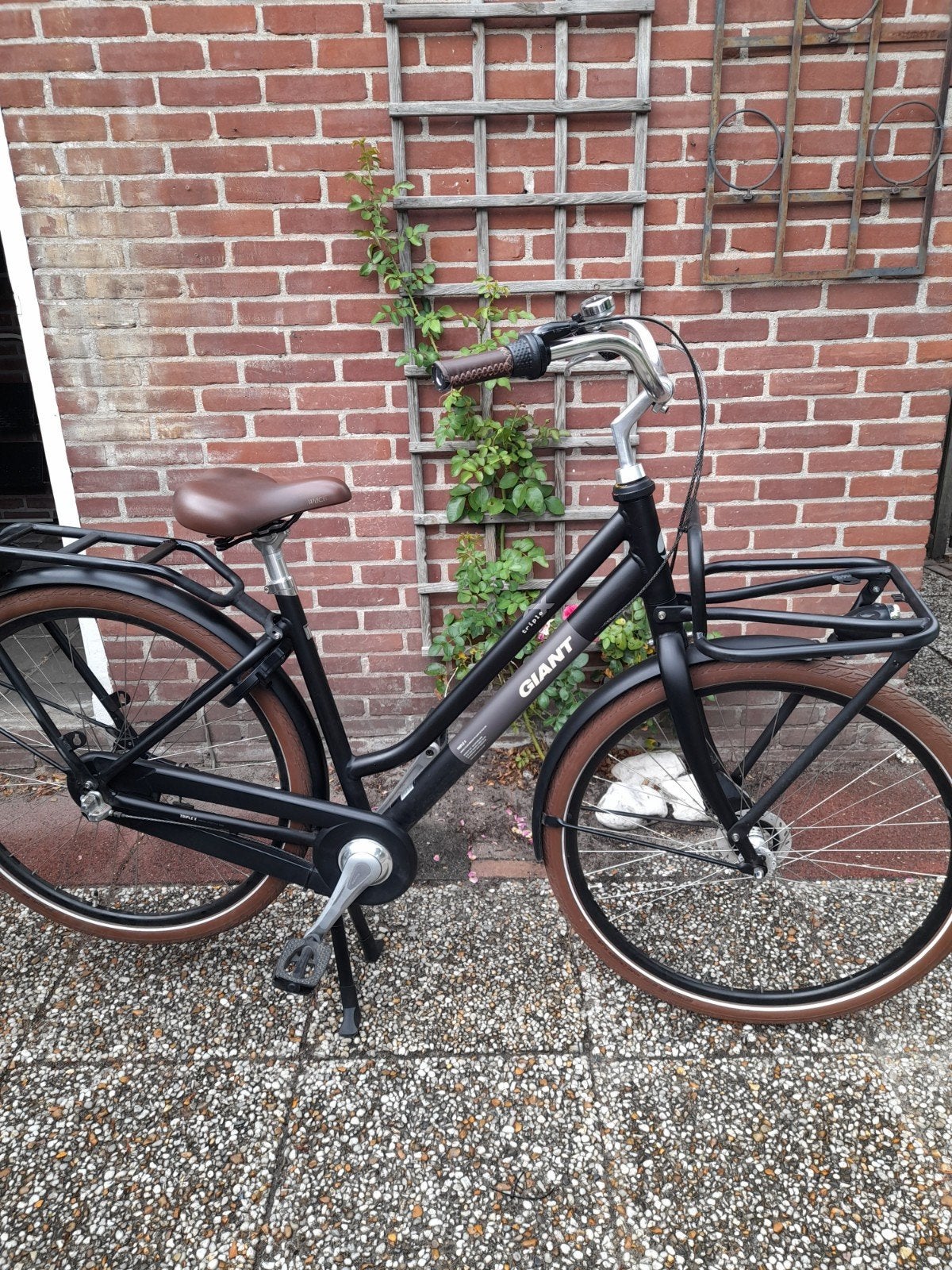 damestrandportfiets 49 inch met scijfrem zwart mat Giant, Fietsen en Brommers, Fietsen | Dames | Moederfietsen, Ophalen, Gebruikt