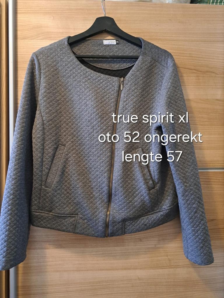 True spirit vestje grijs xl, Maat 46/48 (XL) of groter, Ophalen of Verzenden, True Spirit, Grijs