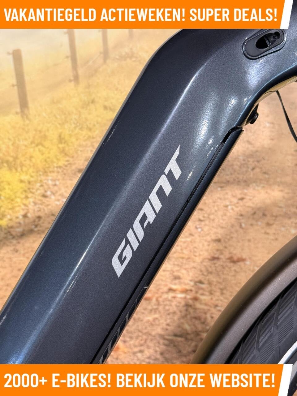 Giant Elektrische heren fiets met midden motor ebike bij MRA, 55 tot 59 cm, Giant