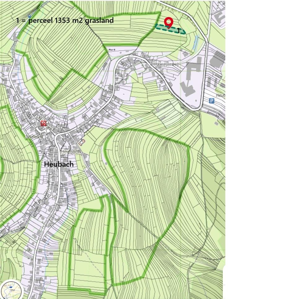 Grasland, Huizen en Kamers, Kavels en Percelen, Heubach (Duitsland), Verkoop zonder makelaar, 1000 tot 1500 m²