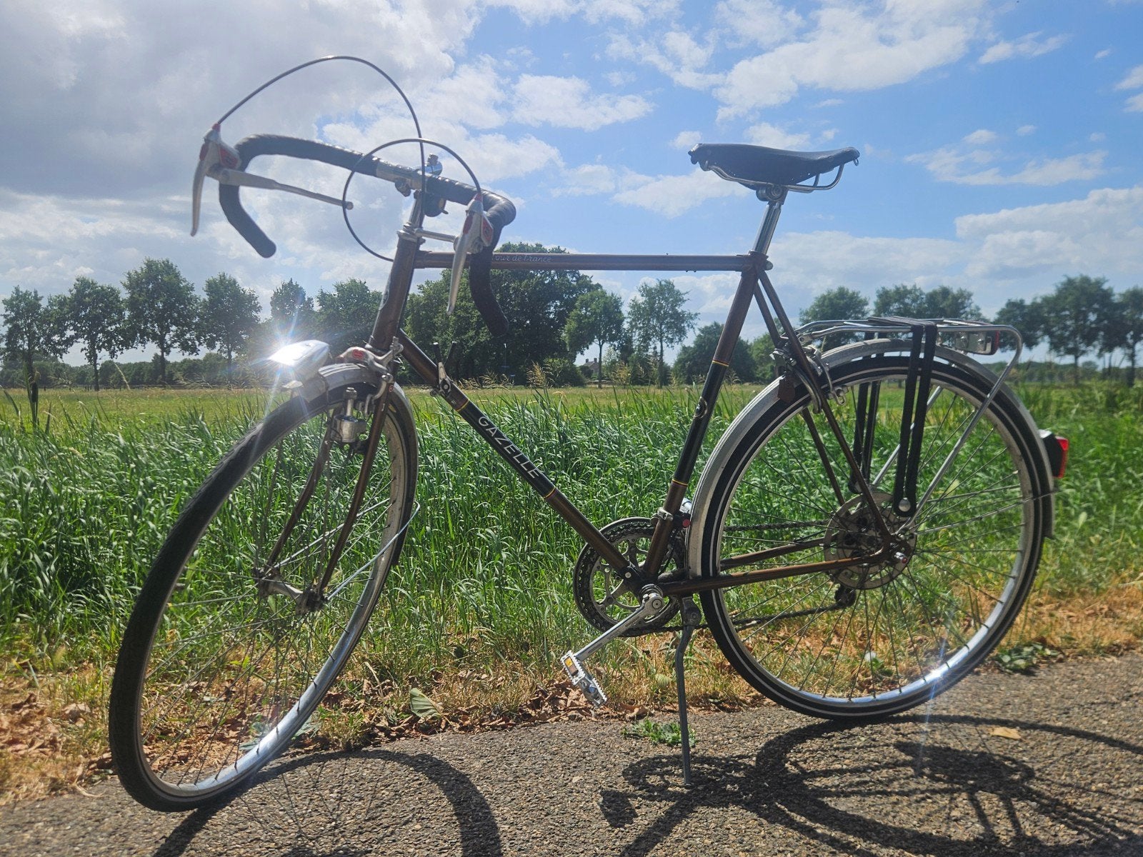 Gazelle Tour de France, Ophalen, Minder dan 10 versnellingen, Gebruikt, 57 tot 61 cm