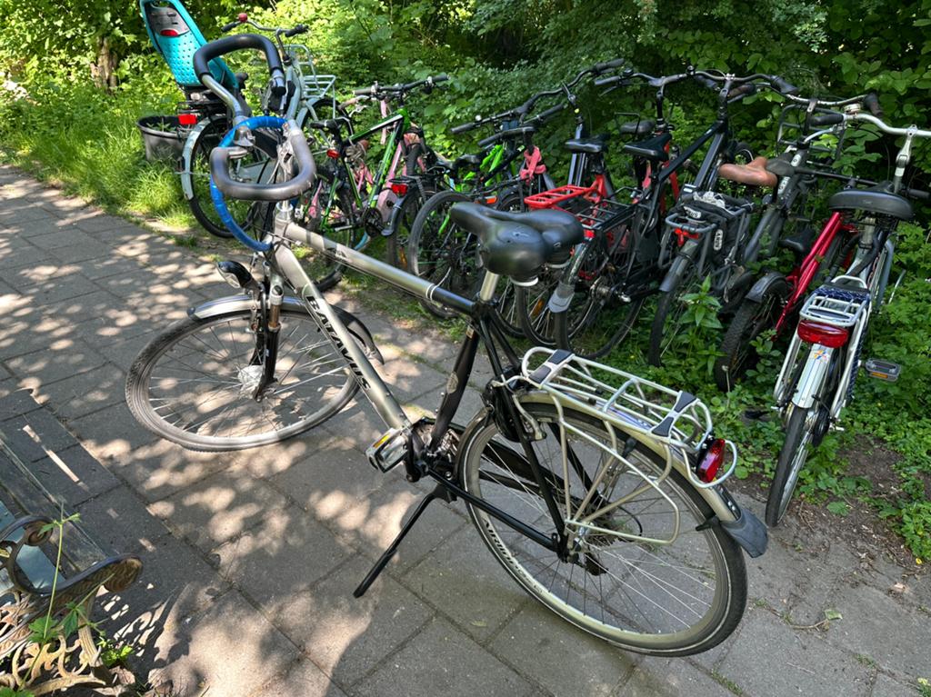 Batavus Socorro 61 inch, Fietsen en Brommers, Gebruikt, Versnellingen, Batavus, Ophalen of Verzenden