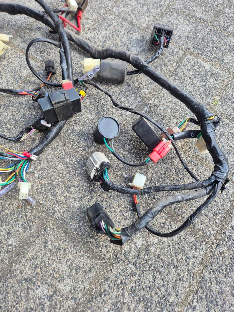 kabelboom btc riva efi euro 4 injectie delphi, Ophalen of Verzenden, Gebruikt, Overige typen, Overige merken