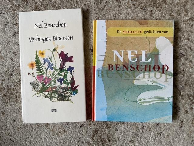 6 gedichtenboekjes / bundels van Nel Benschop, Boeken, Ophalen of Verzenden, Zo goed als nieuw, Nel Benschop, Nederland