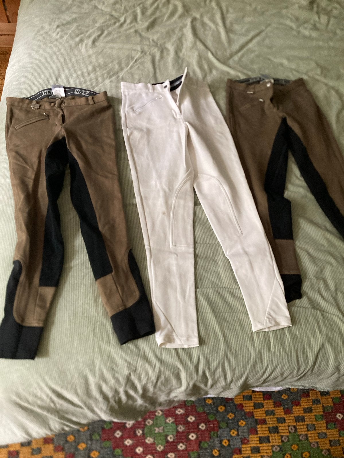 Set van 3 rijbroeken: 2 bruin/zwart, 1 wit, Maat 38/40 (M), Meerkleurig, Ophalen of Verzenden, Lang