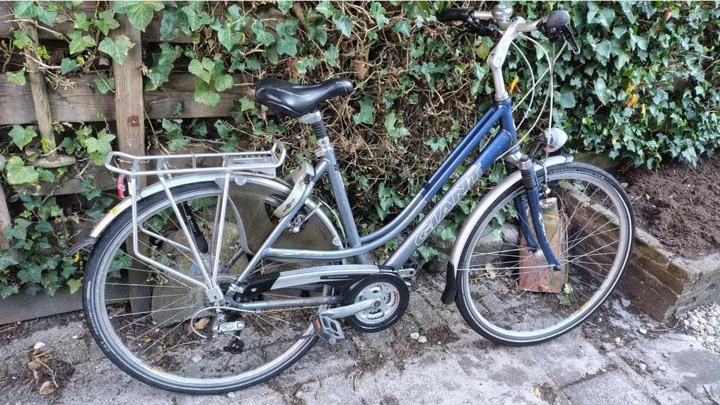 Giant damesfiets 24 versnellingen met lage instap met acces., Ophalen, Gebruikt, Velgrem, Versnellingen