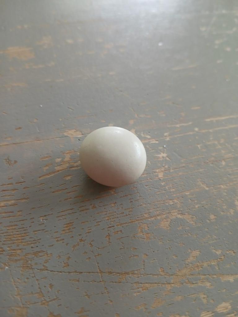 Perfecte ovale steen, Ophalen of Verzenden