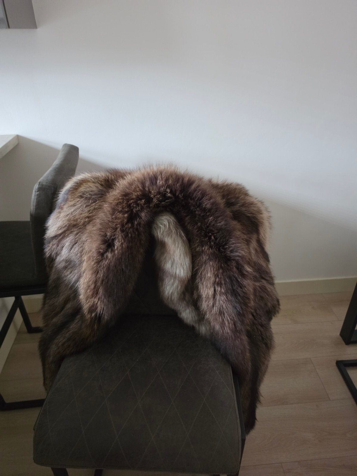 Dikke  raccoon bontjas, Maat 38/40 (M), Bruin, Ophalen of Verzenden, Onbekend