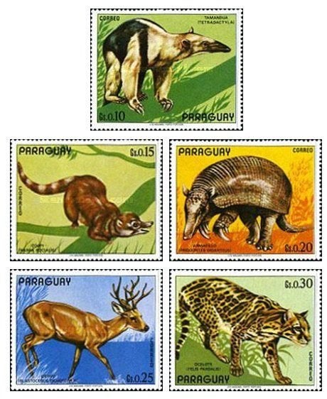 PARAGUAY 2 - Dieren: zoogdieren  (1972), Verzenden, Postfris, Dier of Natuur