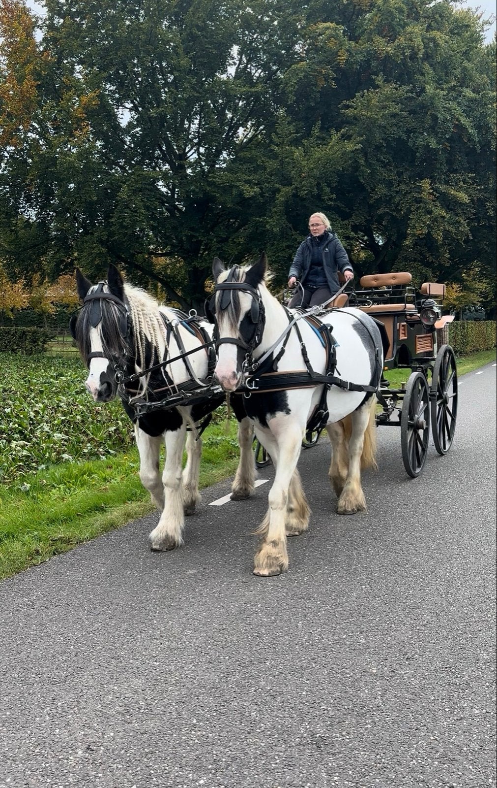 Mooie presentatiewagen/ wagonette, Dieren en Toebehoren, Fahrsport total, Geen idee, Zo goed als nieuw, Paard