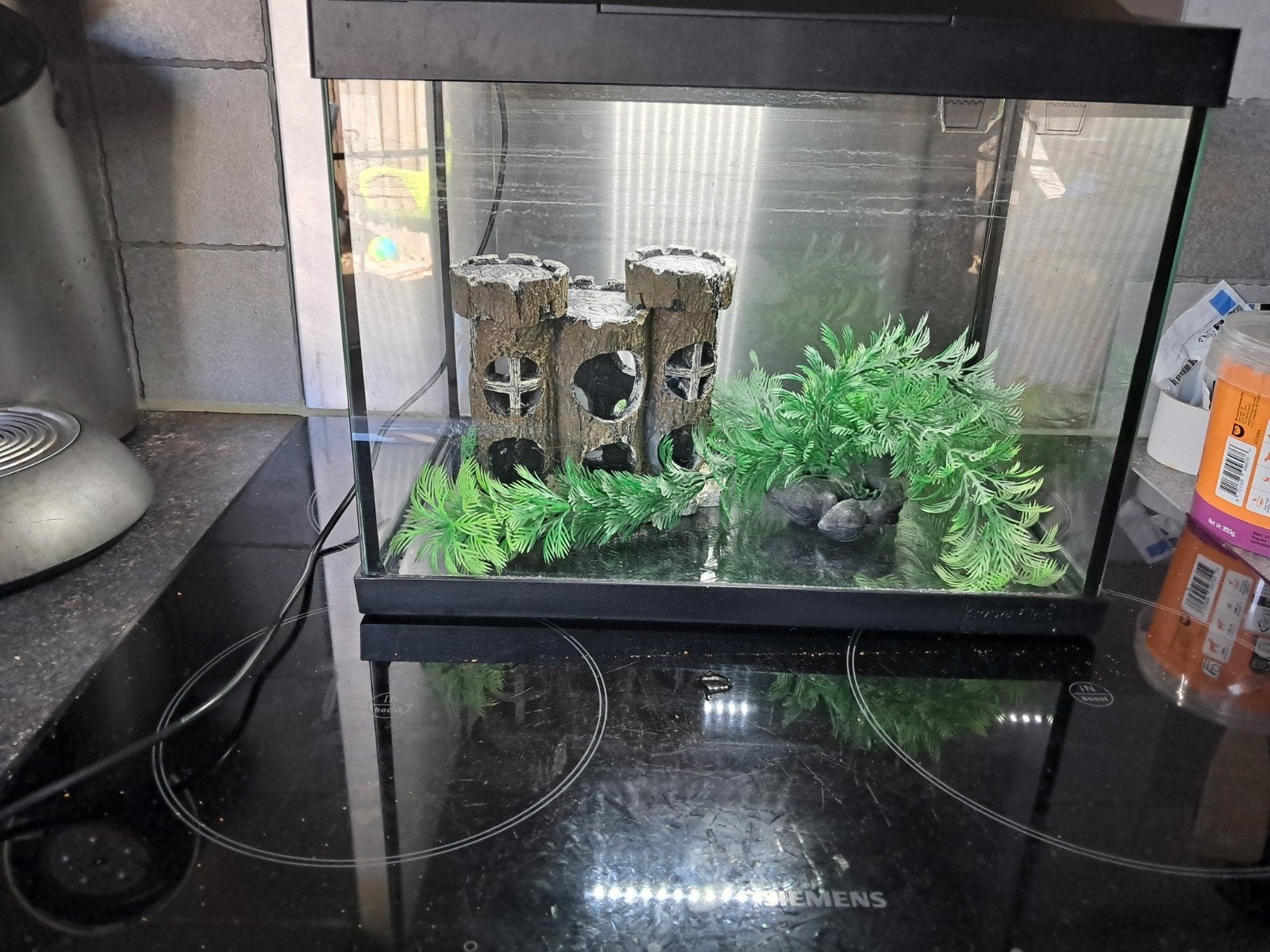 Aquarium met decoratie, Ophalen