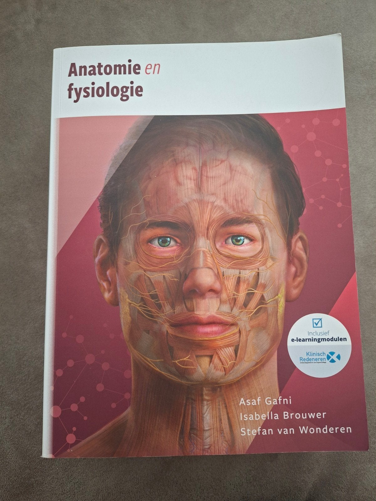 Anatomie en Fysiologie - Studieboek HBO/WO, Zo goed als nieuw, Asaf Gafni, Isabella Brouwer, Stefan van Wonderen, Beta, HBO