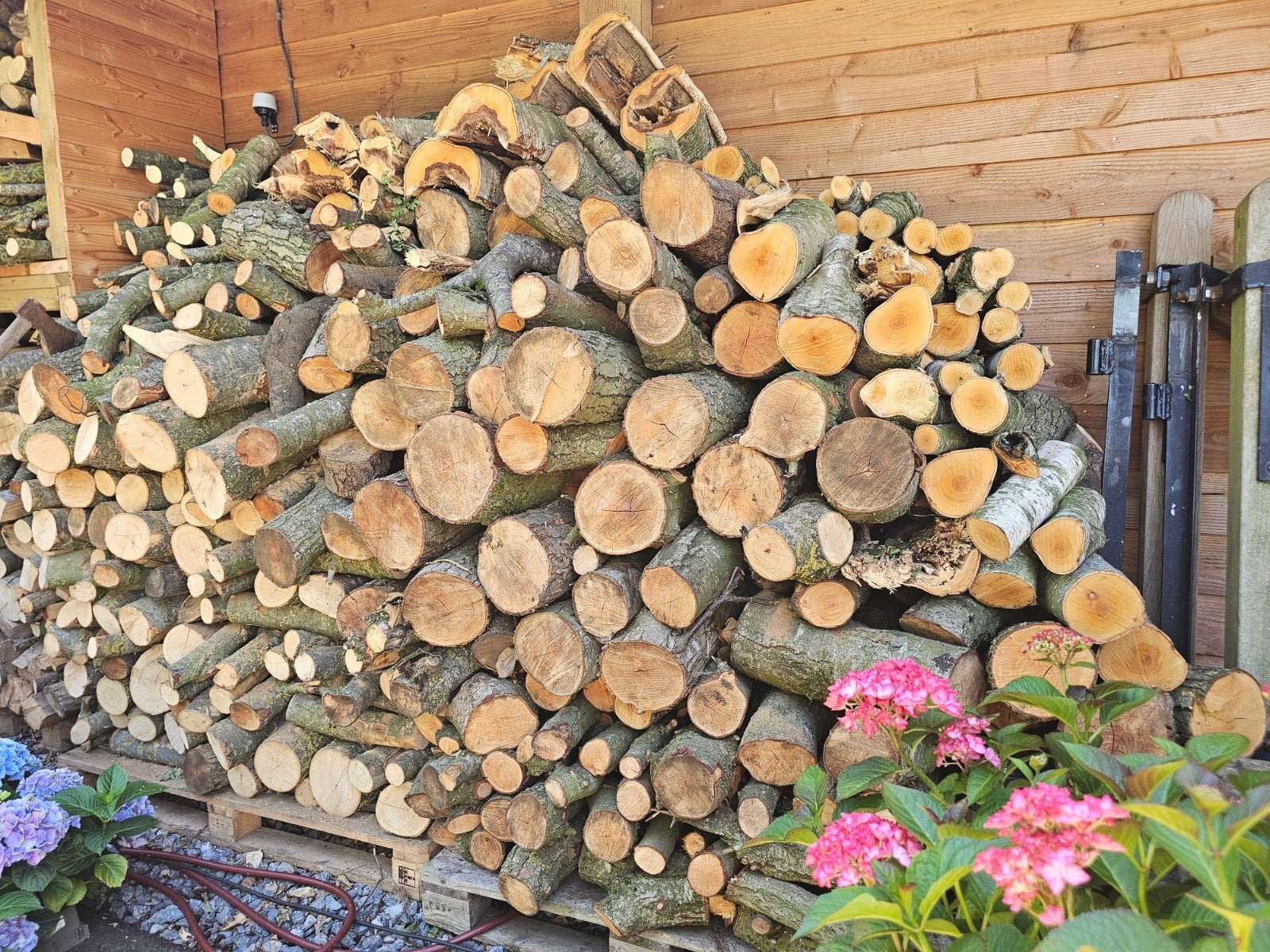 6 kuub hout, 3 tot 6 m³, Ophalen