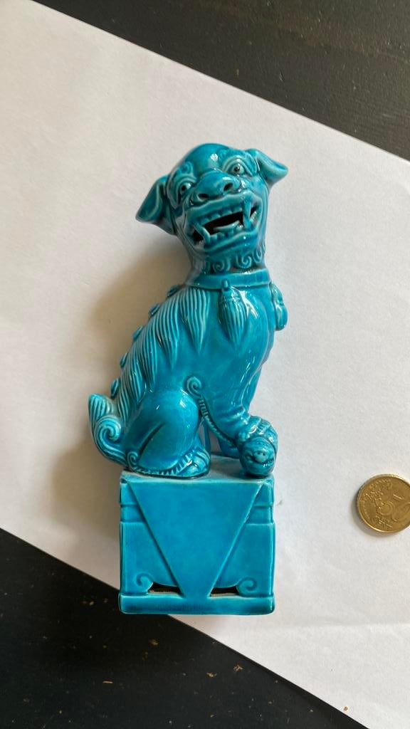 Turqooise Fio dog gemerkt, Ophalen of Verzenden, Zo goed als nieuw, Dier
