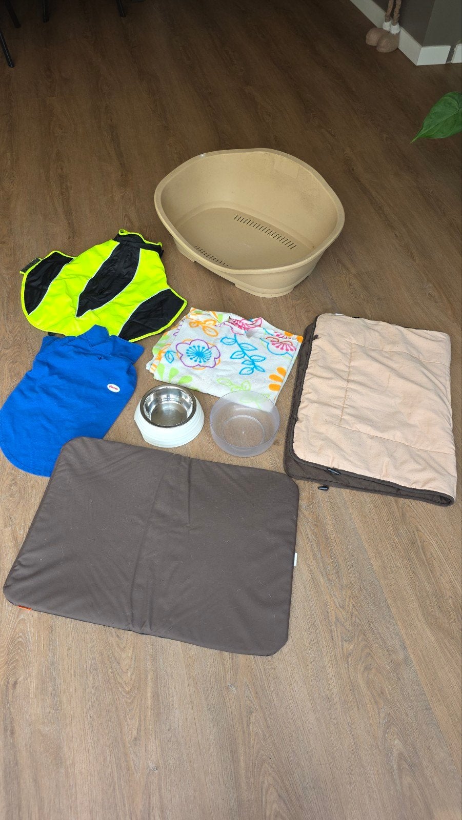 Dog accessories, bed, clothing, bowls, Ophalen of Verzenden