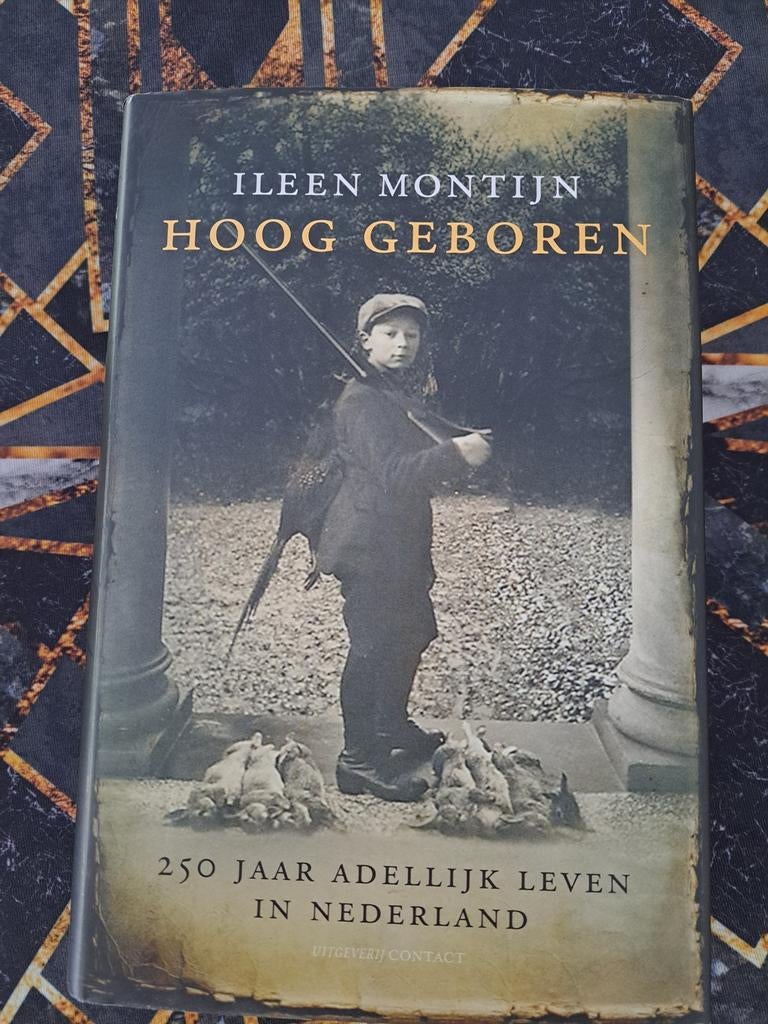 Hoog Geboren: 250 Jaar Adellijk Leven in Nederland, Ophalen of Verzenden, 20e eeuw of later, Gelezen, Ileen Montijn