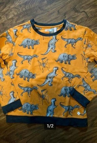 Oranje trui met Dino's maat 152 NOP Jongen, Ophalen of Verzenden, Zo goed als nieuw, Jongen, Trui of Vest