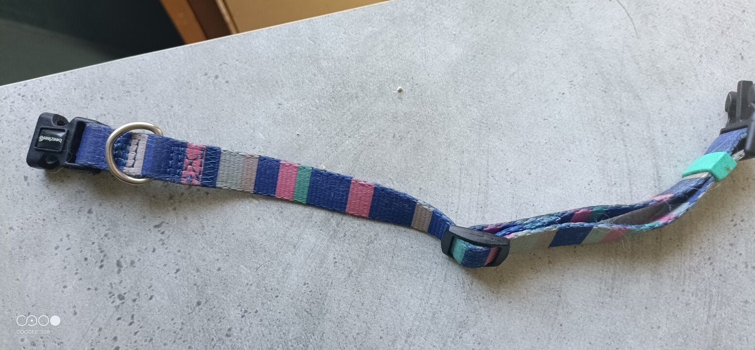 halsband, Dieren en Toebehoren, Ophalen of Verzenden, Nieuw
