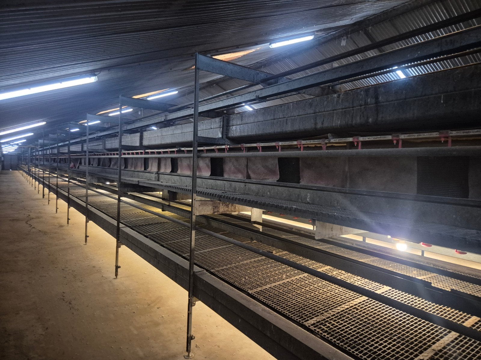 Volière  systeem Jansen, Dieren en Toebehoren, Stalling en Weidegang