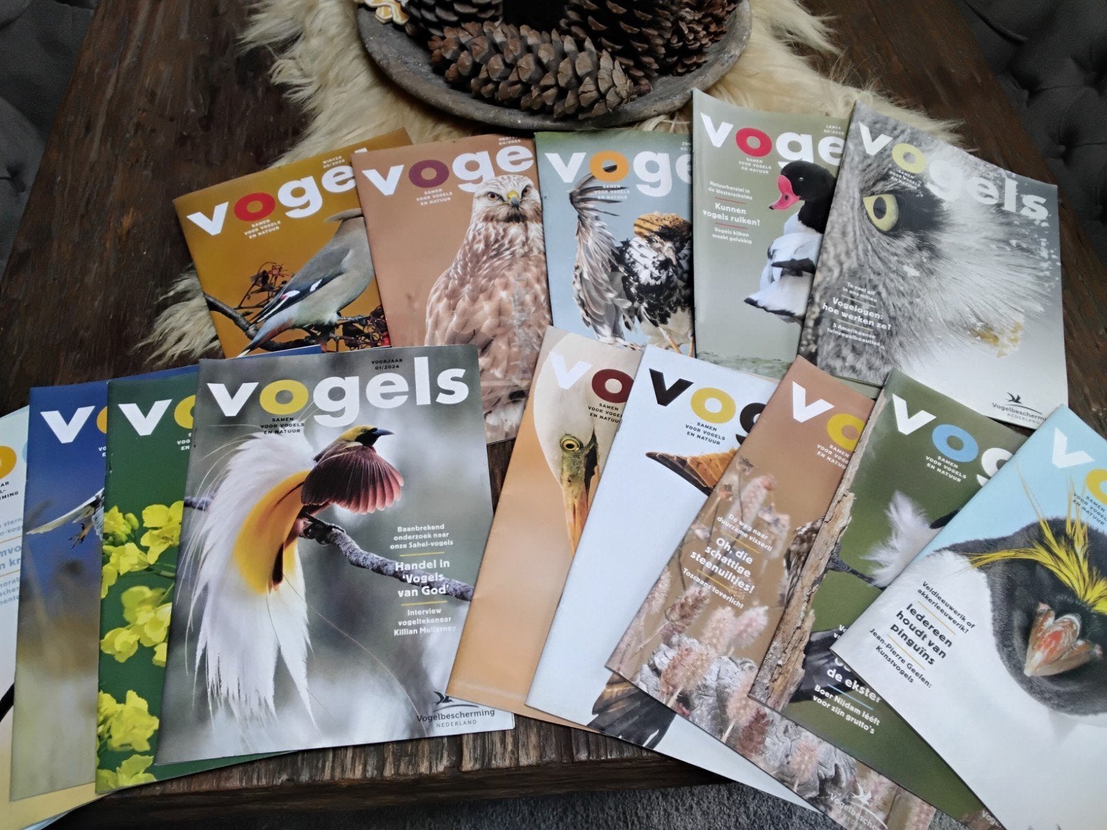 Vogels magazine jaargangen 2023 t/m 2025, Ophalen of Verzenden, Zo goed als nieuw, Wetenschap en Natuur