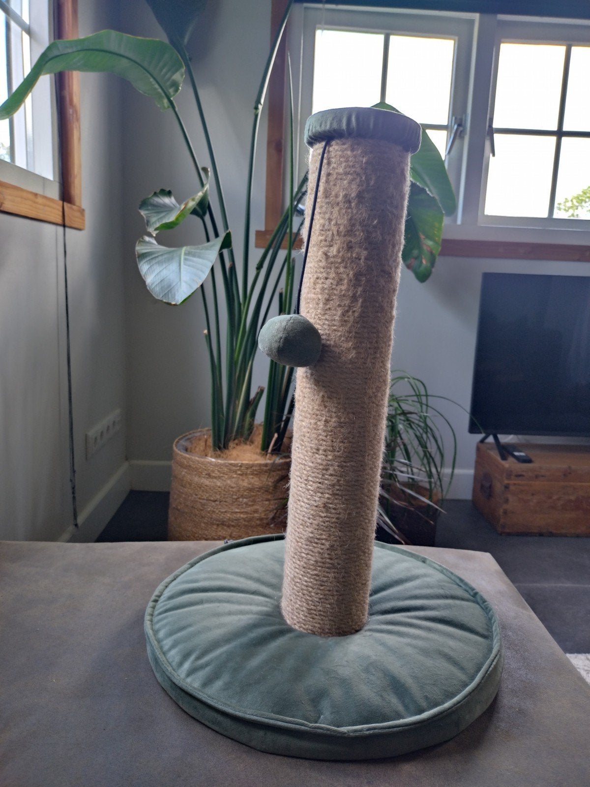 Krabpaal te koop, Dieren en Toebehoren, Ophalen of Verzenden, Zo goed als nieuw, Krabpaal