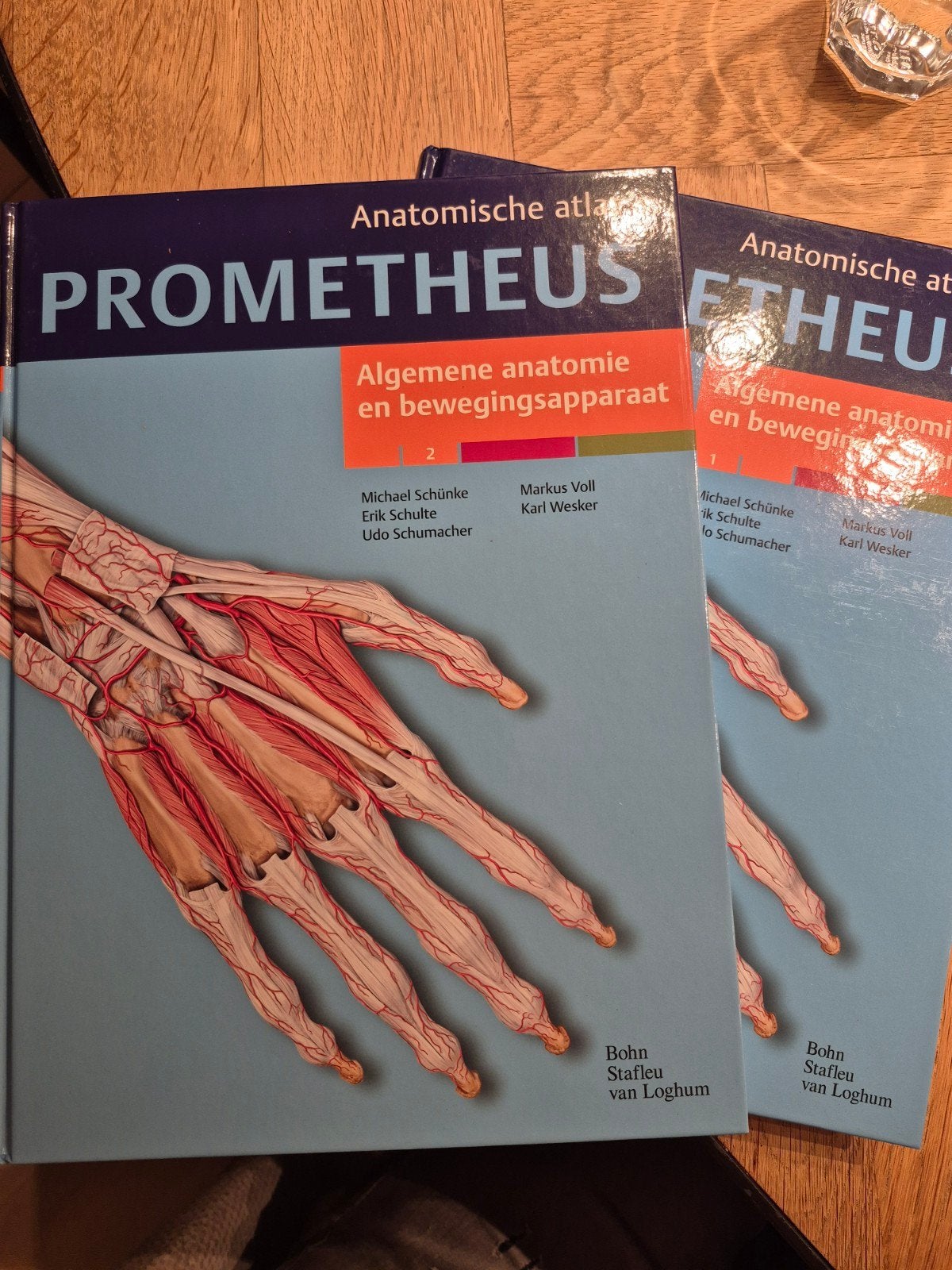 Prometheus Anatomische Atlas - Algemene anatomie, Ophalen of Verzenden, Michael Schünke, Erik Schulte, Udo Schumacher, Beta, WO