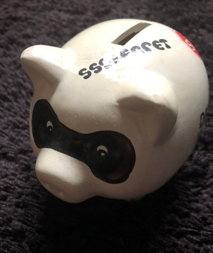 Spaarpot, spaarvarken, Piggy bank, nieuw, Ophalen of Verzenden, Nieuw, Steen, Aardewerk of Keramiek, Dier