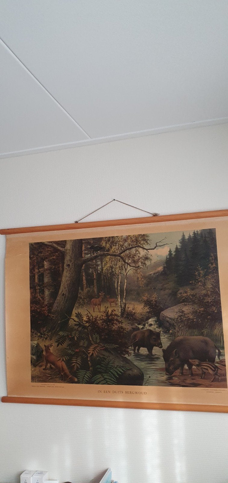 Antiek Schoolplaat 2 stuks voor 40 euro Ophalen, Ophalen
