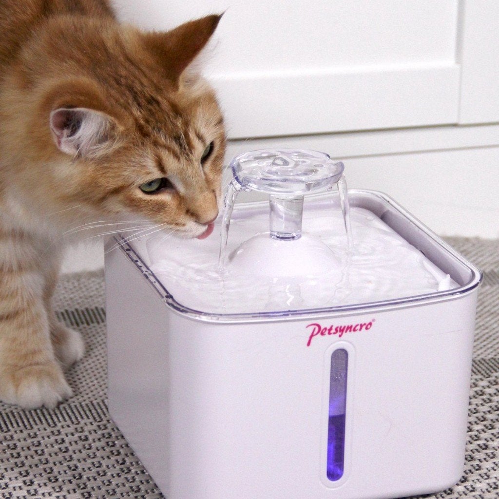 RefreshMe Automatische Drinkfontein voor katten, Ophalen of Verzenden, Nieuw