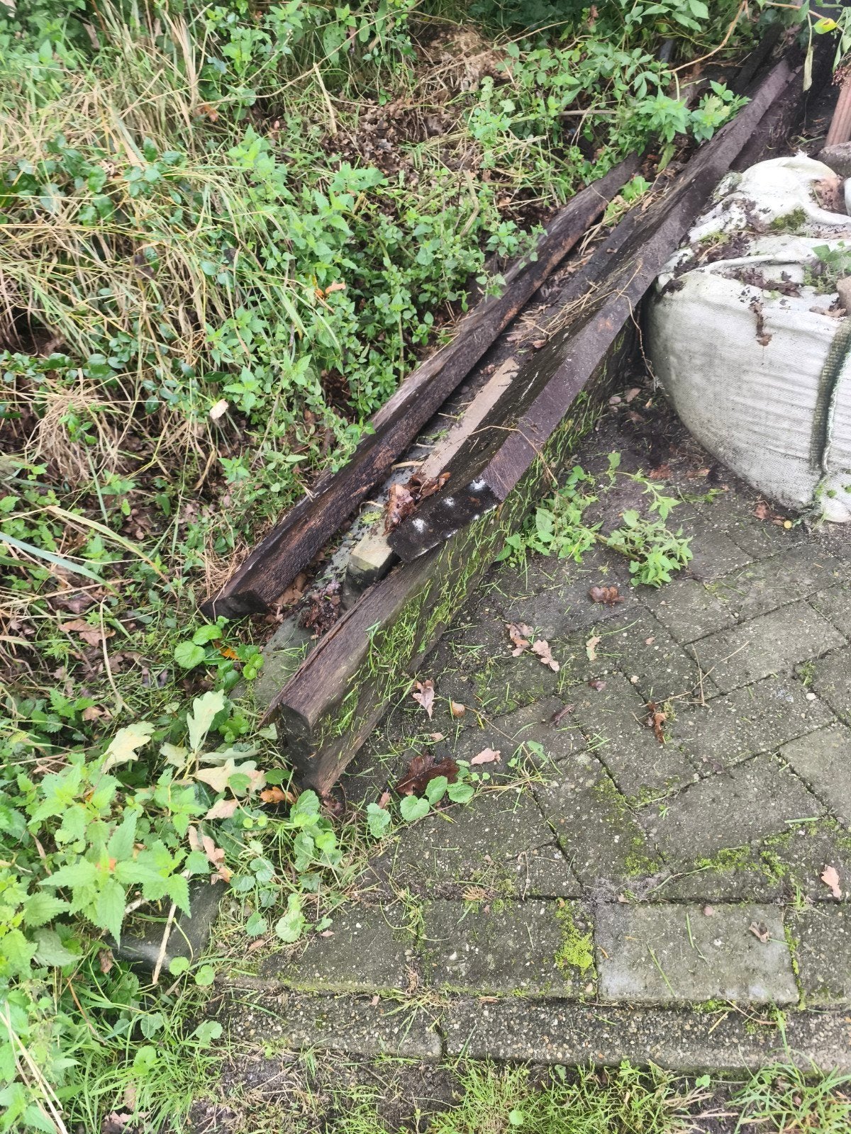 Hardhouten funderingsbalk 20x4,5x300 cm, Gebruikt, 25 tot 50 mm, Ophalen of Verzenden, 300 cm of meer