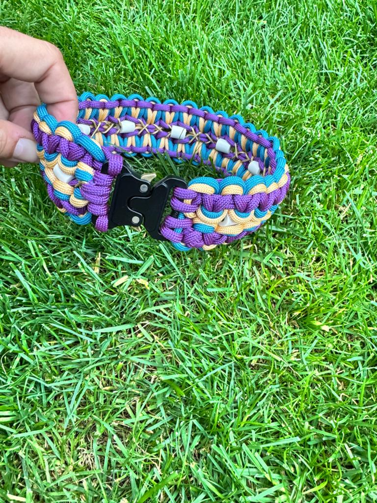 Teken halsband, Ophalen of Verzenden, Nieuw