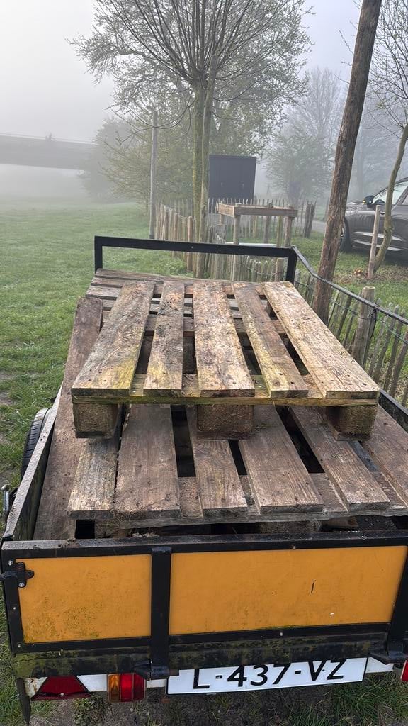 Gratis brandhout, Ophalen, Zo goed als nieuw, Minder dan 180 cm, Palen