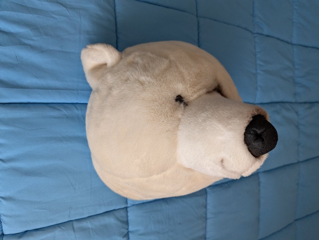 Super mooie grote ijsberen kop soft,, Textiel, Decoratieobject, Ophalen of Verzenden, Zo goed als nieuw