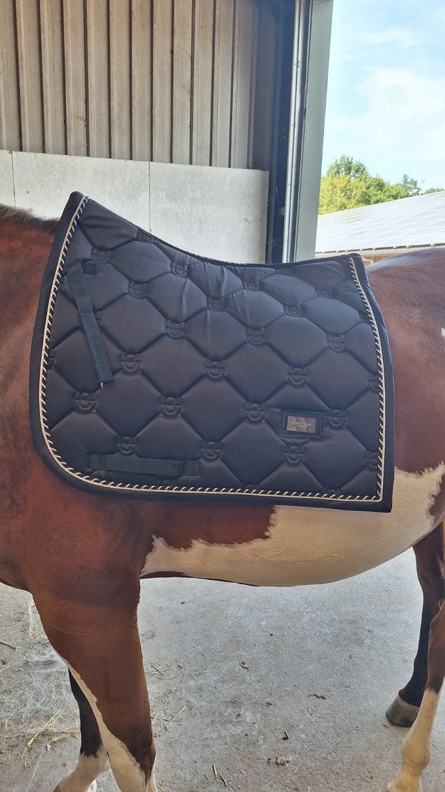 Equestrian Stockholm Black Edition, Dieren en Toebehoren, Paarden en Pony's | Dekens en Dekjes, Full (L), Dressuurdekje, Equestrian Stockholm