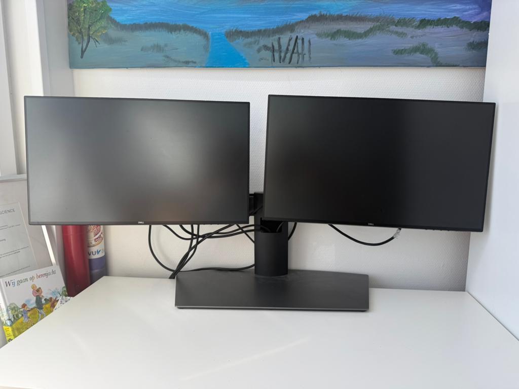 Dell Dubbele Monitor Met Verstelbare Standaard, Computers en Software, Monitoren, Ophalen of Verzenden, Zo goed als nieuw, 60 Hz of minder