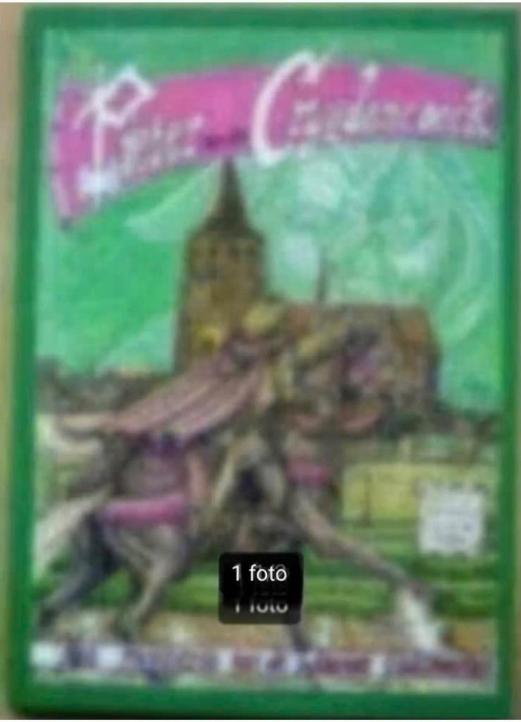 Pieter van den Cruydencoeck door Eric van der Heijden., Eén stripboek, Ophalen of Verzenden, Zo goed als nieuw