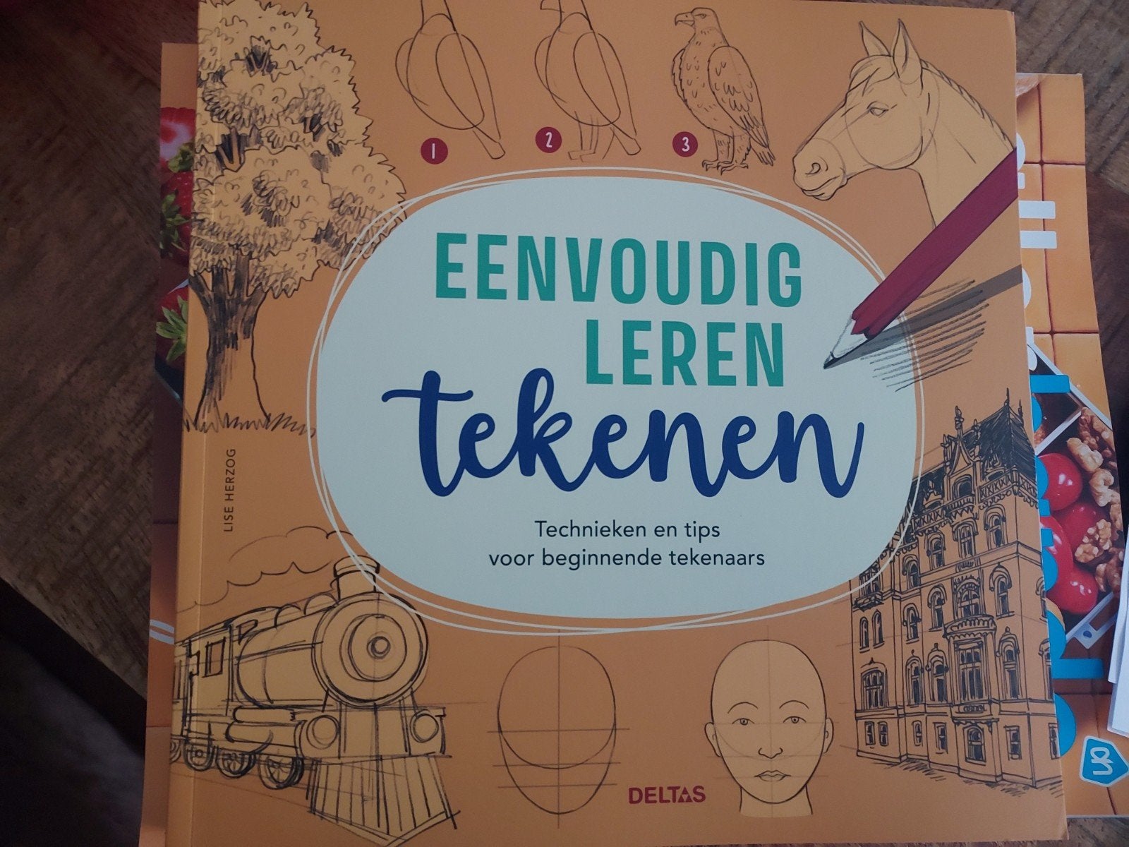 NIEUW Eenvoudig Leren Tekenen Boek - Technieken & Tips, Ophalen of Verzenden, Nieuw, Boek of Gids