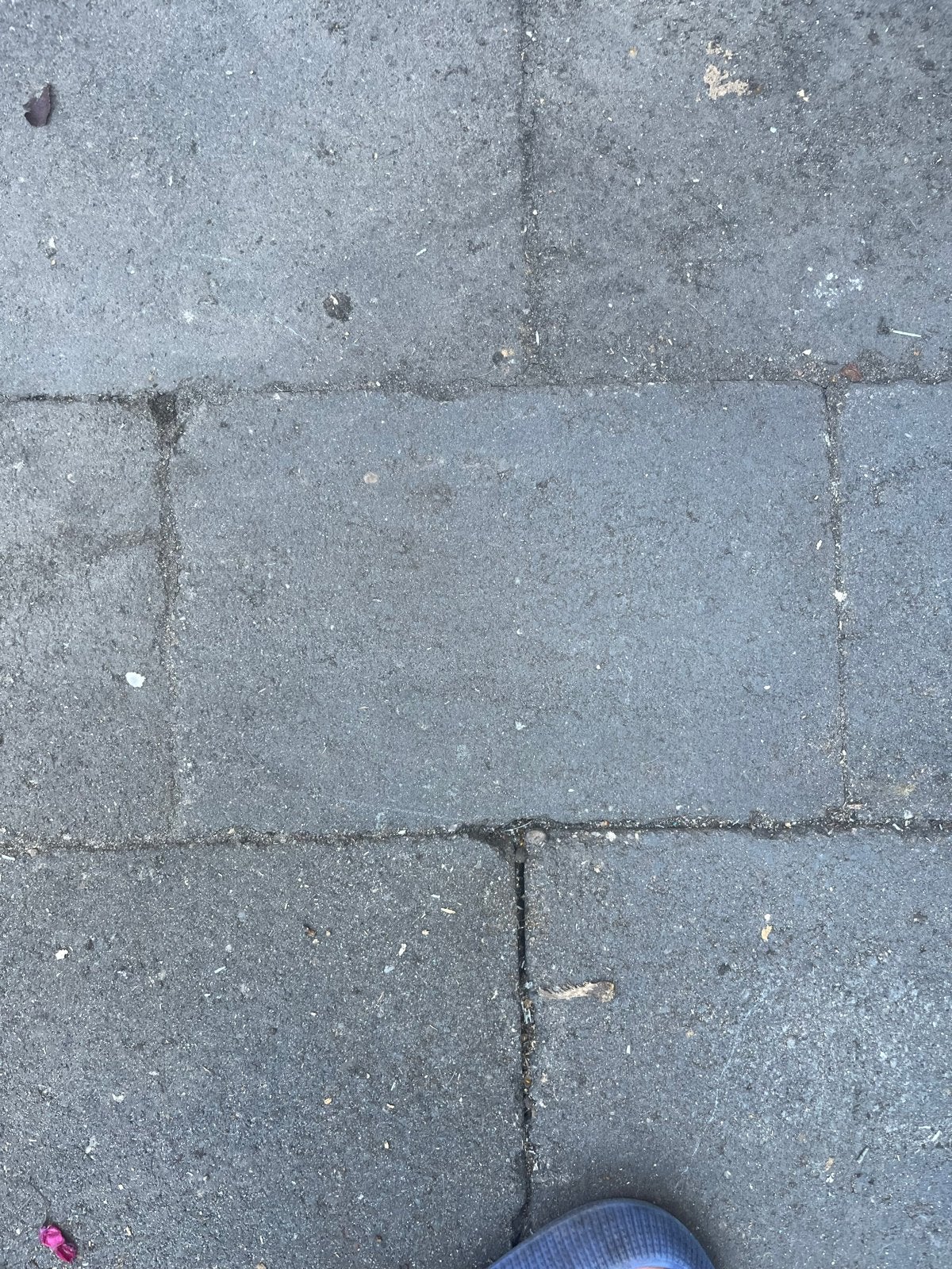 15 betontegels 20x30 cm, Tuin en Terras, Ophalen, Zo goed als nieuw, Minder dan 5 m², Beton