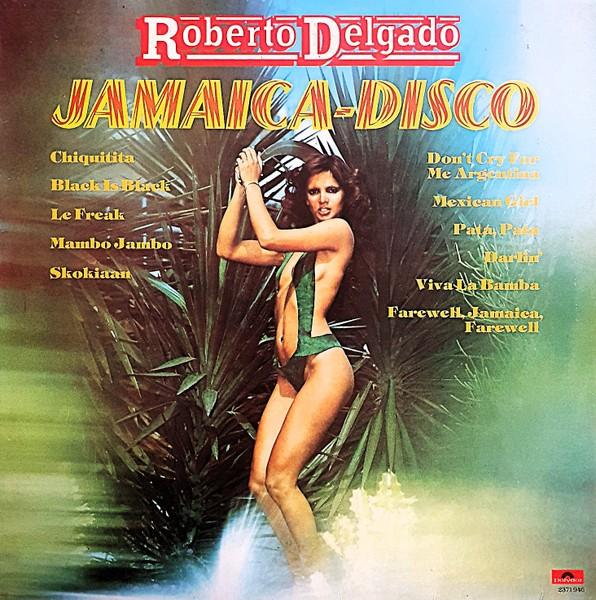LP - Roberto Delgado ‎– Jamaica-Disco, Beschermende buitenhoes, Ophalen of Verzenden, Gebruikt, 12 inch