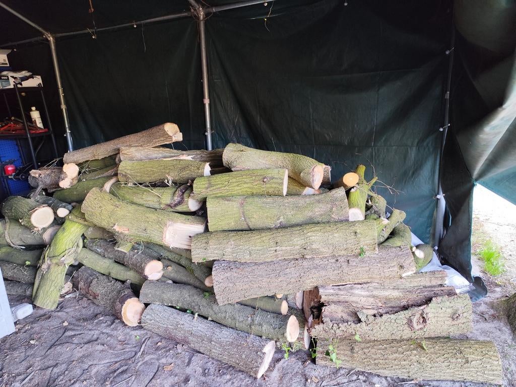 3 m³ Eiken en Prunus haardhout + zelf omzagen boom, Tuin en Terras, Haardhout, 3 tot 6 m³, Ophalen of Verzenden, Eikenhout, Blokken