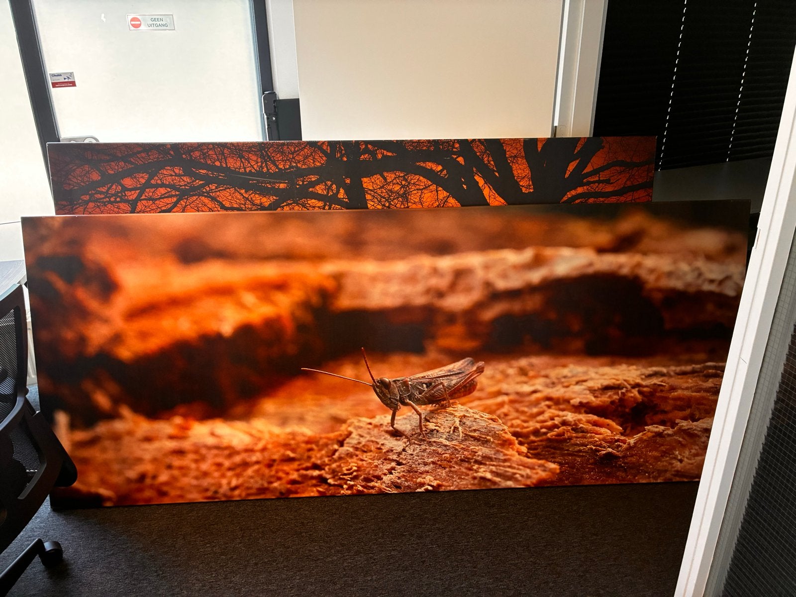 Canvas schilderijen, Ophalen, 100 tot 125 cm, 75 – 100, Print