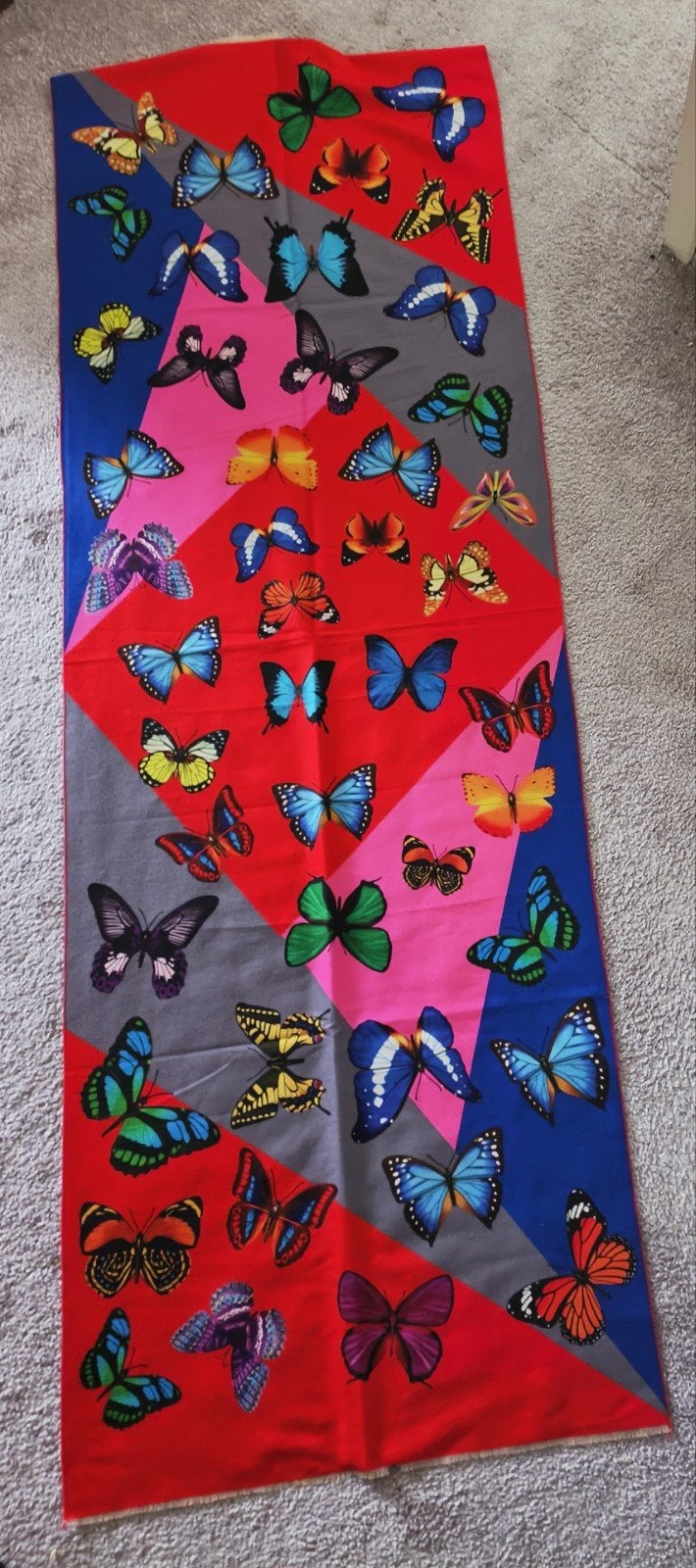 Tantilly sjaal vlinders, Verzenden, Maat 46/48 (XL) of groter, Nieuw, Sjaal