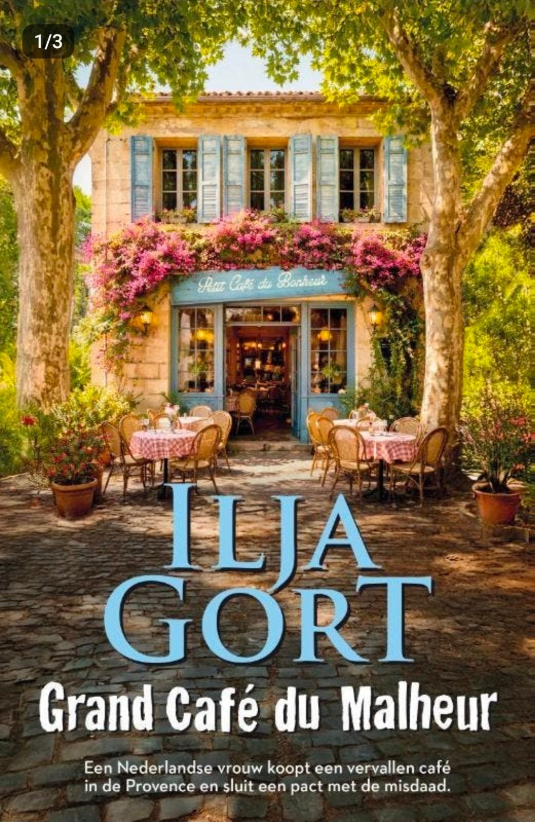 ILJA GORT Grand Cafe du Malheur gezocht?, Gelezen, Ophalen of Verzenden, Nederland, Ilja Gort