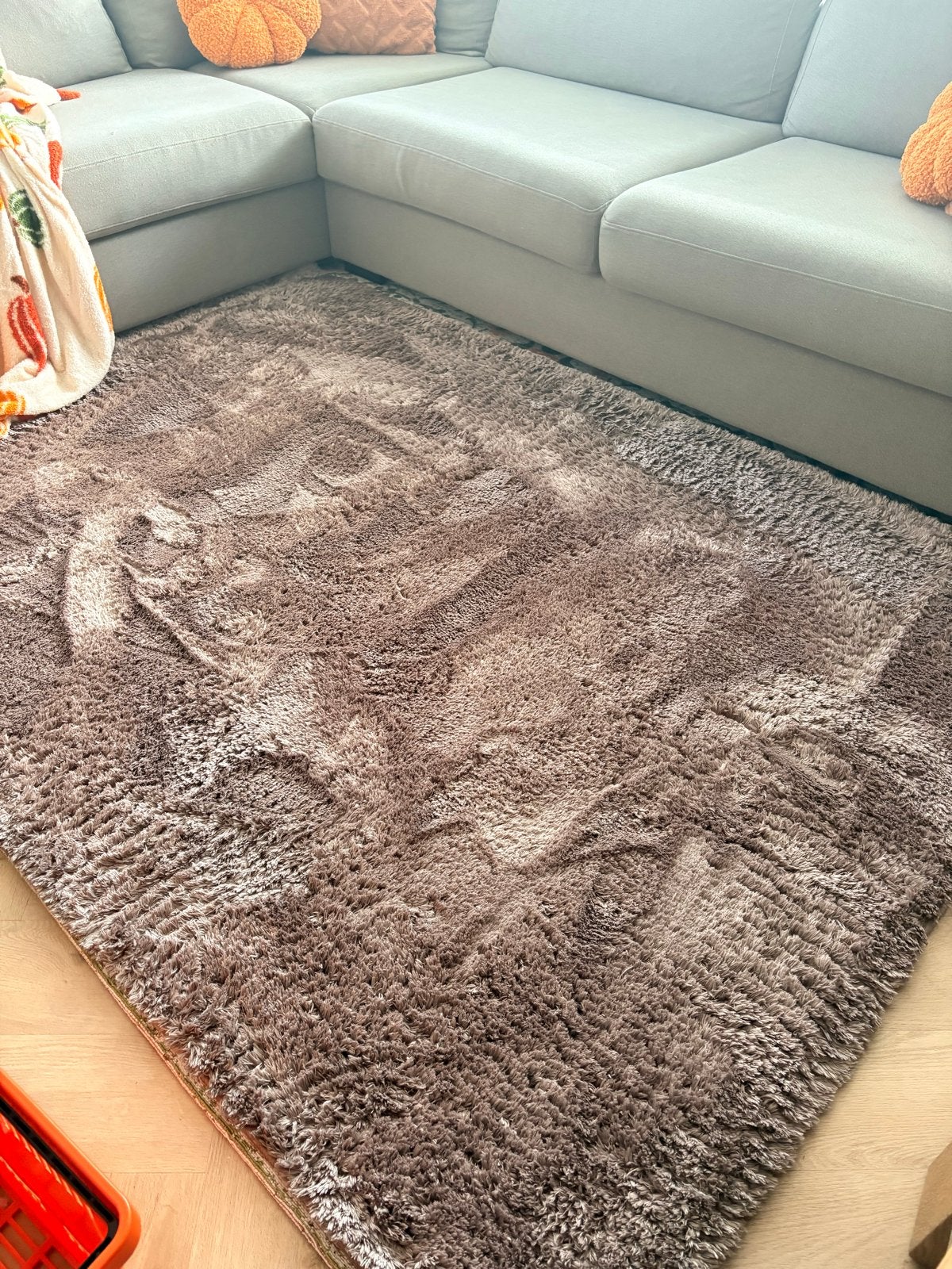 Leen Bakker hoogpolig vloerkleed 160x230 cm, Huis en Inrichting, Bruin, 150 tot 200 cm, 200 cm of meer, Ophalen of Verzenden
